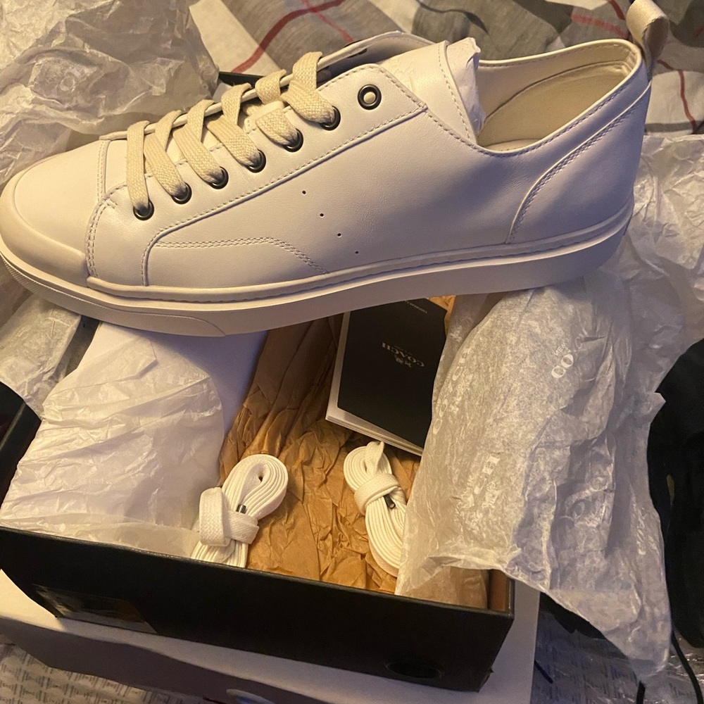 New coach low tops